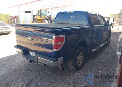 2010 Ford F-150 Xl/Xlt z USA, uszkodzony, nr VIN 1FTEW1E82AFB62459